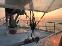 Amel Maramu Click to launch Larger Image