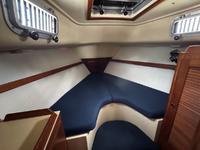 Pearson 386 Click to launch Larger Image