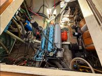 Langedrag Marin  Click to launch Larger Image