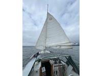 Tillotson Pearson Freedom 36 Click to launch Larger Image