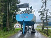 Tillotson Pearson Freedom 36 Click to launch Larger Image