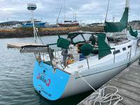 Tillotson Pearson Freedom 36 Click to launch Larger Image