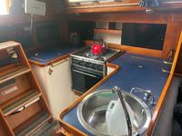 Tillotson Pearson Freedom 36 Click to launch Larger Image