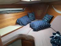 Tillotson Pearson Freedom 36 Click to launch Larger Image