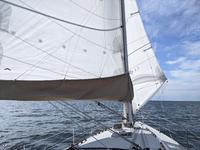 Freedom F 38 Click to launch Larger Image