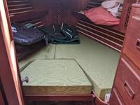 Young Sun 35 Click to launch Larger Image