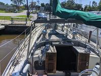 Young Sun 35 Click to launch Larger Image