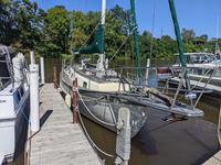 Young Sun 35 Click to launch Larger Image