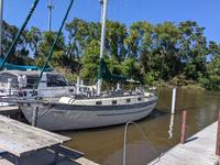 Young Sun 35 Click to launch Larger Image