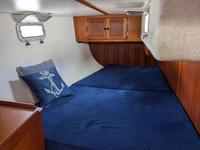 Freedom F 38 Click to launch Larger Image