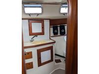 Freedom F 38 Click to launch Larger Image