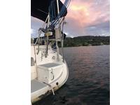 Hunter 336 Click to launch Larger Image