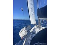 Hunter 336 Click to launch Larger Image