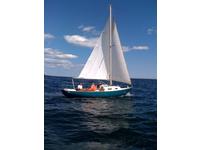 O'Day Outlaw Click to launch Larger Image