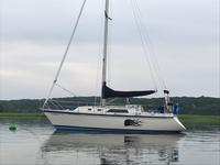 O'day 31 Click to launch Larger Image